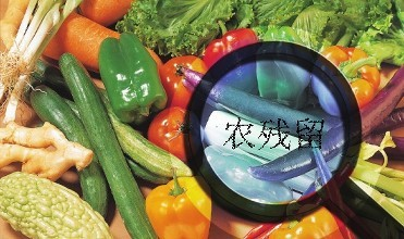 黑龍江通報4批次食用農產品農藥殘留超標，批發環節成監管重點